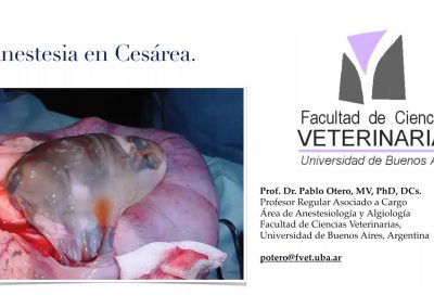 Clase 1: Anestesia en cesáreas · Pablo Otero