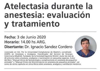 Atelectasia durante la anestesia: evaluación y tratamiento por Dr. Ignacio Sandez Cordero