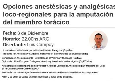 Opciones anestésicas y analgésicas loco-regionales para la amputación del miembro torácico.