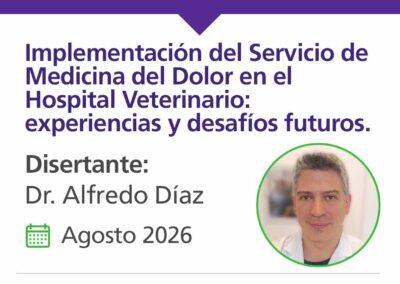 Implementación del Servicio de Medicina del Dolor